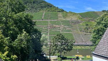 Bella Italia - Ferienwohnungen - Foto 2