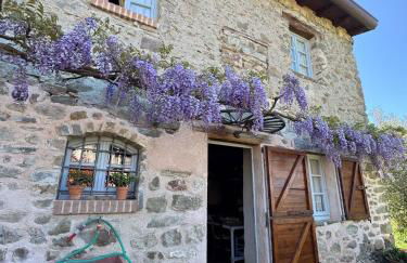 Tuscan Country House - Capanna dei muli - Foto 2