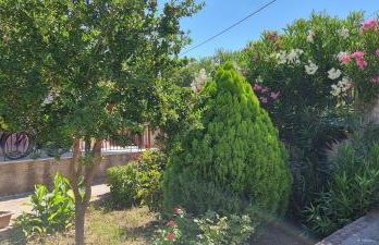 Residence Angeli - Photo 34