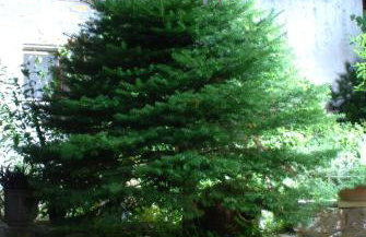 ''The Stone'' - Photo 26