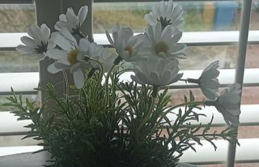 Cosy Rural Gilbert Hights Llandovery Cynghordy - Foto 39