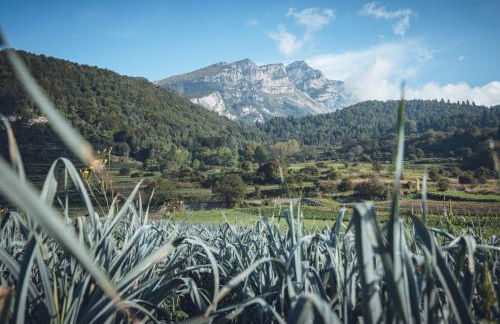 Apartment Serena - Photo 15