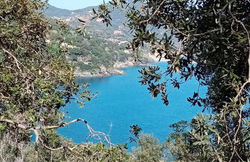 Casa Bella 'Mbriana - Foto 35