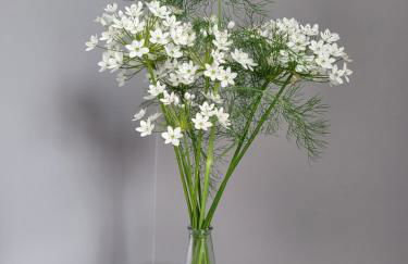 La Vallée - Foto 10