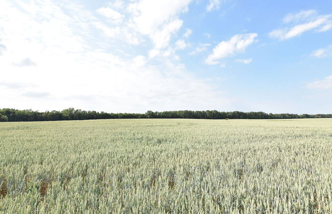 Modern Holiday Home in Steffenshagen With Terrace - Foto 18