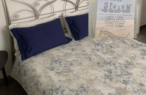 PAVIA CENTRO - Foto 10