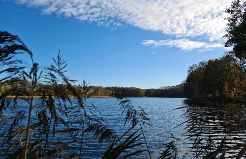 Ferienwohnung Prälank direkt am See - Foto 24