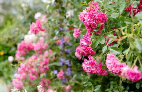 Untermetzgersbauernhof - Foto 32