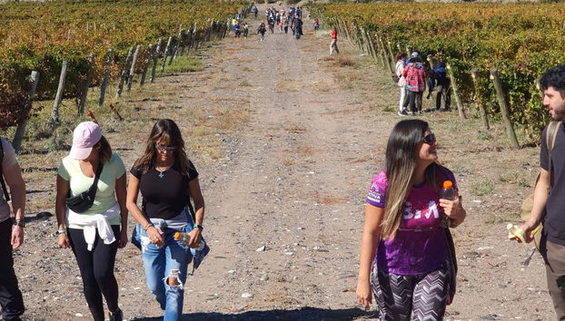 Neuquén Wineries Tour - Foto 4