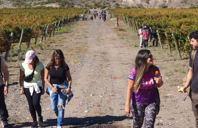 Visite à la découverte des domaines viticoles de Neuquén - Photo 4