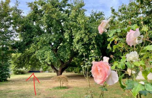 Spacieux appartement au bord de l'Oise - Foto 19