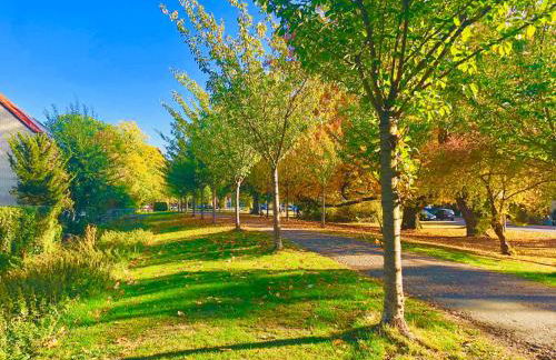 Wallstrasse 2 - Foto 17