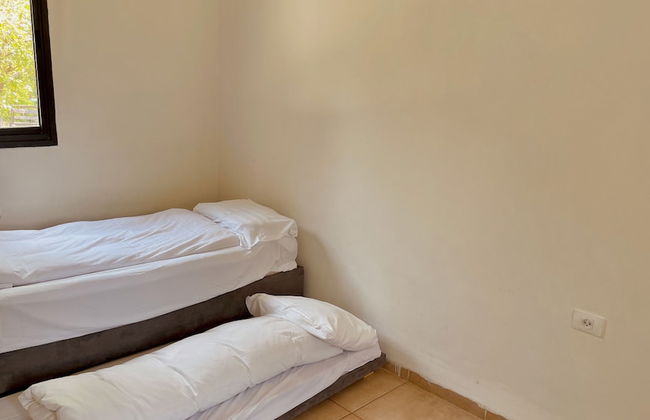 Nofey Habashan - Foto 13