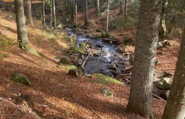 Ferienwohnung Lindenhof - Photo 22
