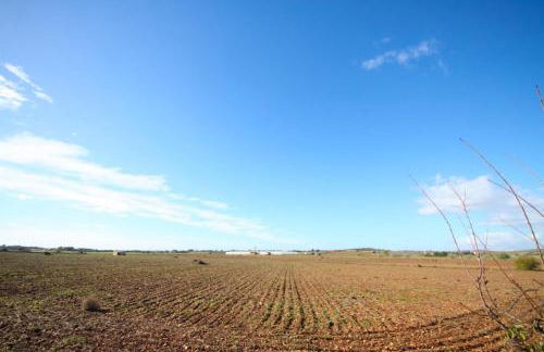 Aubadallet in Vilafranca de Bonany - Foto 64