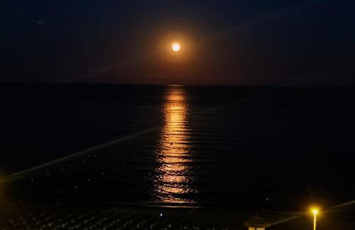 Carvajal Beach Seaview Apartment - Foto 28