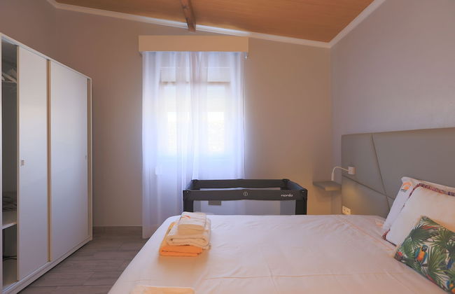 Parrots Village - Foto 10