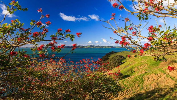 Bela vista do parque