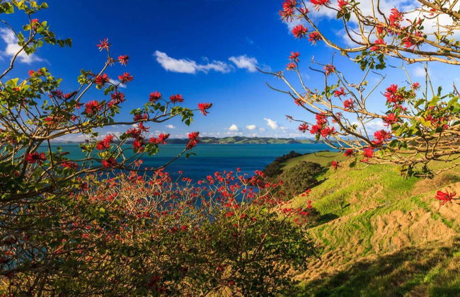 Trekking nel Parco Regionale di Duder - Foto 3