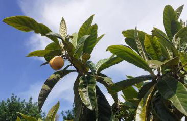 Quinta D' LuzArcoIris - Foto 49