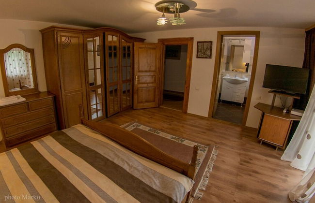 Vila Flora Viseu de Jos - Foto 4