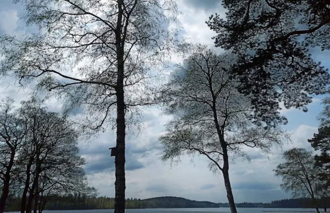 4 Person Holiday Home in Boras - Photo 34