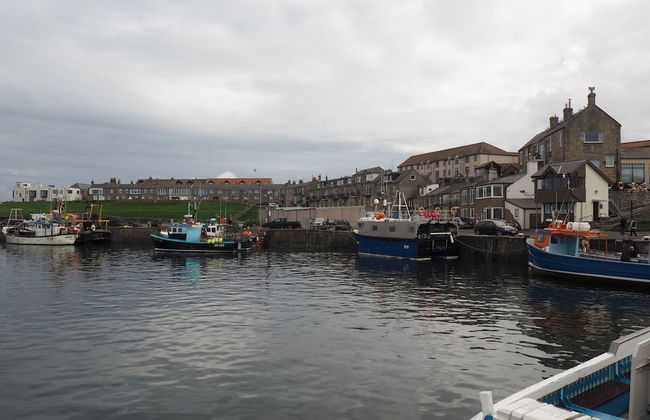 Little Haven - Foto 38