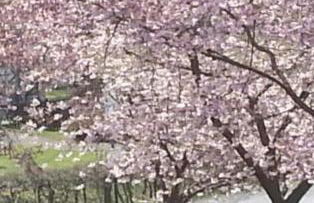 Ferienwohnung Ohmeis - Photo 1