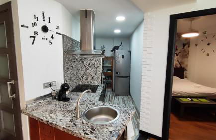 Terrasa de Mercado Central - Foto 15