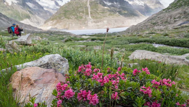 Paisajes del glaciar