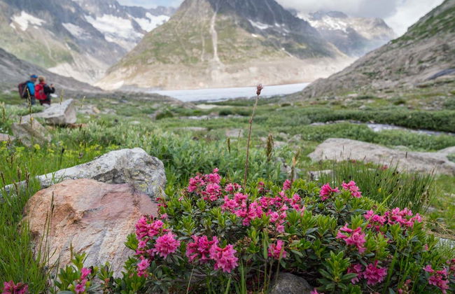 Aletsch Explorer Pass - Foto 3