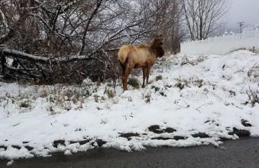 Beautiful Mountain Home - Photo 15