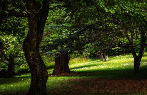 Beauregard Jura - Peaceful Estate Stays Near Geneva - Foto 39