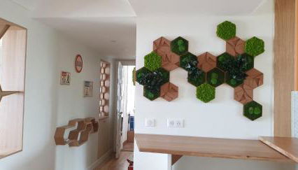 Les Cigales - Photo 4