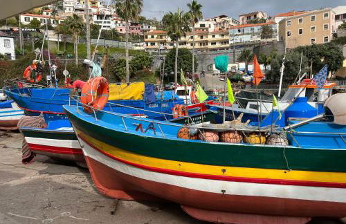 Casa do Ilhéu - House of Ilhéu - Câmara de Lobos - Foto 51