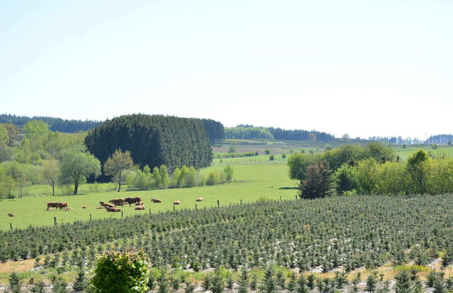 Cottage With Foosball & Garden - Foto 29