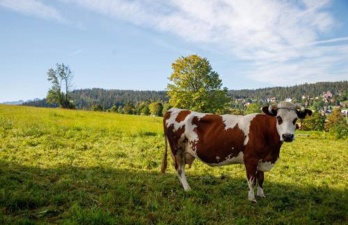Gościniec u Marzeny - Foto 53