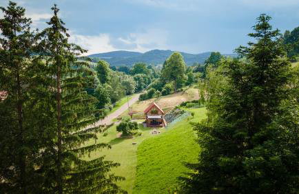 Kamienny Zakątek w Bieszczadach - Foto 15