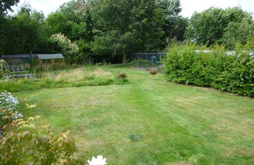 Golden Cross - Photo 21