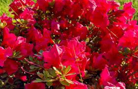 KITTERLELODGE Suite 1 à 5 personnes avec vue - Foto 19