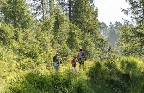 Ciasa Iachin - Dolomites Dream Retreat - Photo 70