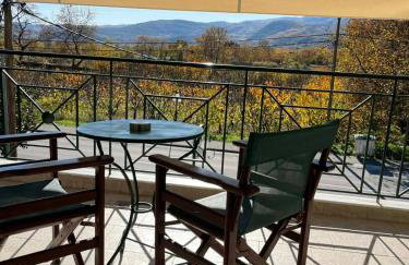 Drosia Hotel - Photo 47