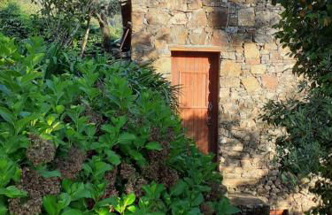 Casa do Tôjo e Rosmaninho - Foto 4