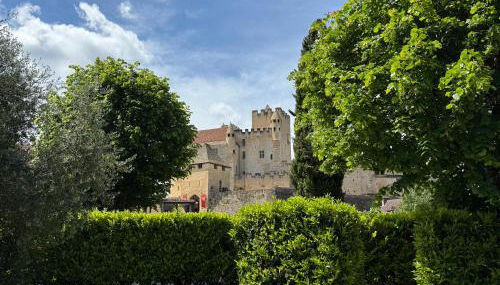 DREAM HOUSE in front of CHATEAU DE BEYNAC in Perigord , Dordogne - Foto 2