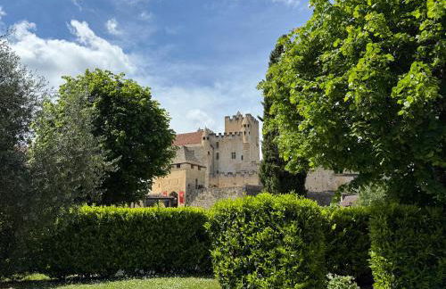 DREAM HOUSE in front of CHATEAU DE BEYNAC in Perigord , Dordogne - Foto 2