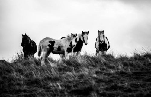The Green Hayloft, Lakes & Dales - Photo 21