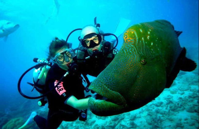 Plongée à Kusadasi - Photo 3