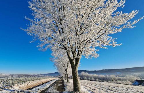 Ferienwohnung Auf dem Sonnenberg - Foto 11