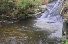 Ap centro cascatinha prox parque - Foto 24