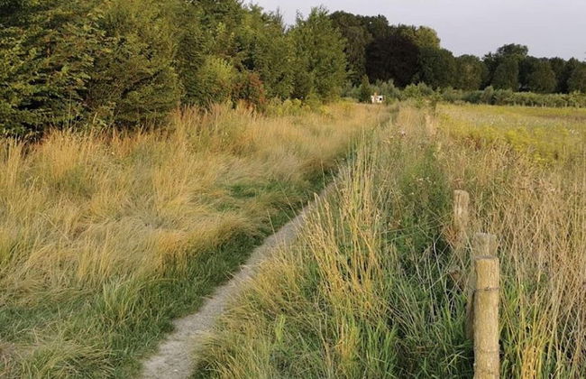 Modernized Holiday Home With Terrace - Foto 22